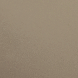 PO05489 Champagne (L)
