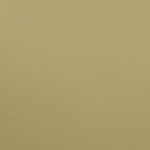 PO05522 Ivory (L)