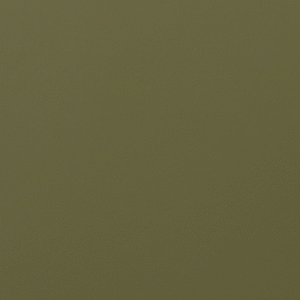 PO55189 Pistachio (L)