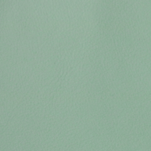 PO55229 Aqua (L)
