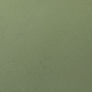 PO05518 Lagoon green (L)