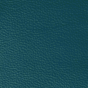 SI0336 Petrol (L)