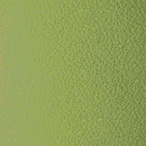SI0407 Lime (L)