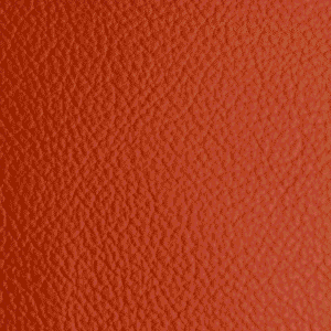 SI1100 Mandarin (L)