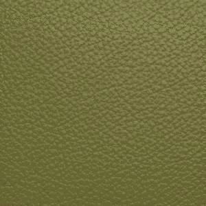 SI1104 Spring (L)