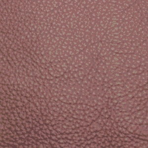 SIK1020 Kelato English Red (L)