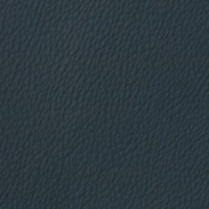 MM35007 Blueberry (L)
