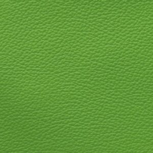 MM35478 Lime (L)