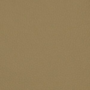 MM25928 Parchment (L)