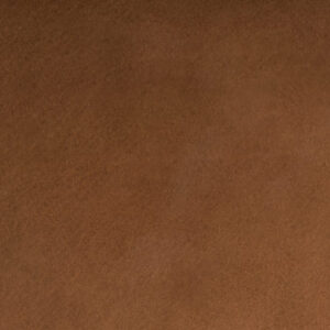 ALB2496 Nougat (L)