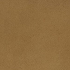 GE2476 Camel (L)