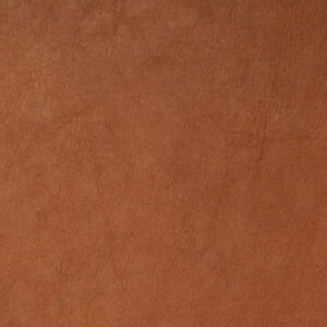 GE2488 Cognac (L)