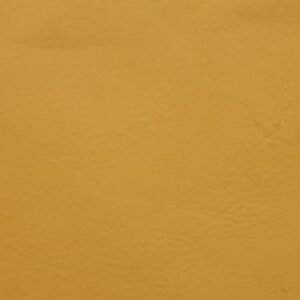 NV2227S Mustard (L)