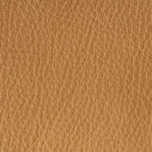 SV5694 Camel (L)