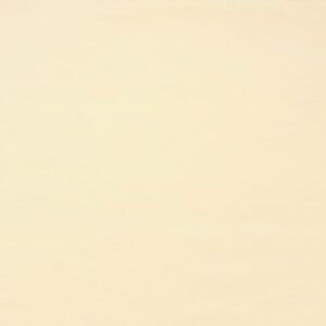 SY0140 Ice (M)