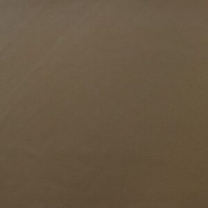 SY5529 Nougat Brown (L)