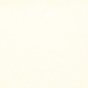 SY0111 White (L)