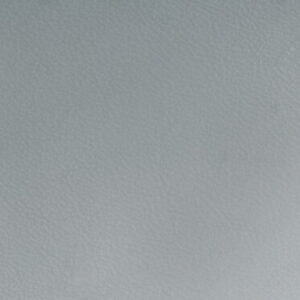 SY2104 Elephant (L)