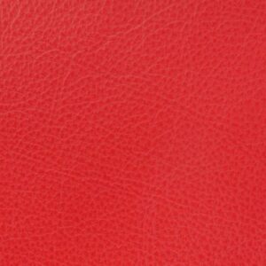 SY2511 Clear Red (L)