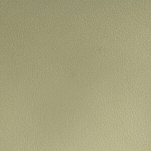SY2535 Moss Green* (M)