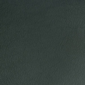 SY2561 Forest Green* (L)