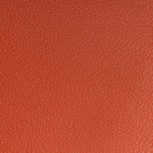 SY6688 Orange* (L)