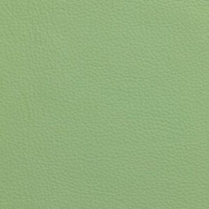 SV4281 Mint green (L)