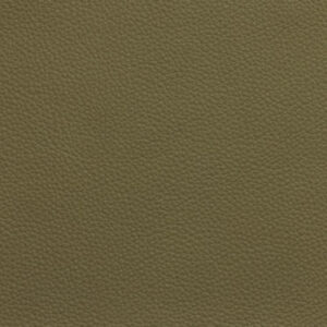 SV4770 Olive (L)