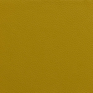 SV6415 Yellow (L)