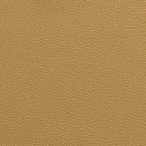 SV6461 Nougat (L)