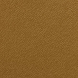 SV6480 Mustard gold (L)