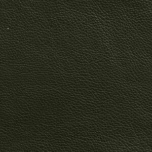 SV6433 Dark green (L)