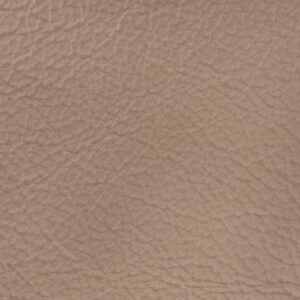 SY4049 Slam (L)