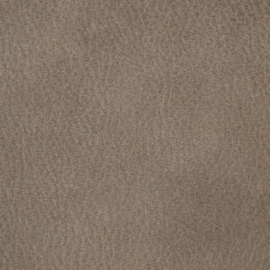 TUN0528 Fawn (L)
