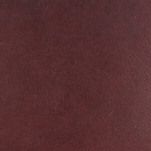 VC4275 Elderberry (L)