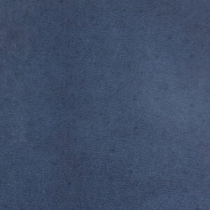 VC5415 Deep Water (L)