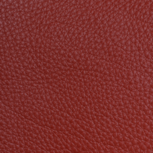 CA5009 Red (L)