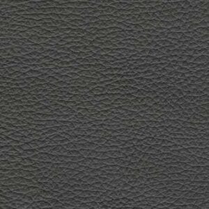 MO1241 Graphite (L)