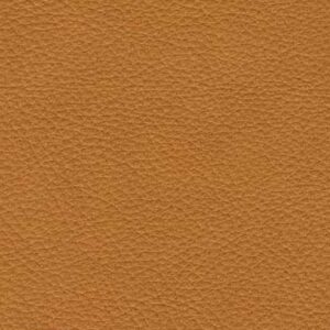 MO2691 Camel (L)
