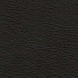 NV0500S Black (L)