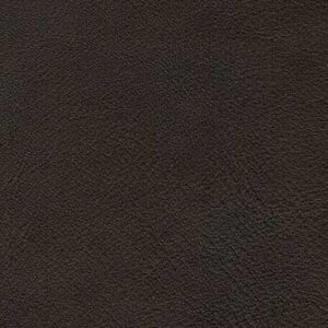 NV2000S Brown (L)