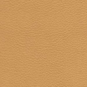 NV2694S Sand (L)