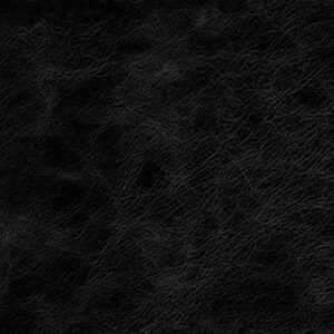 PI8001 Black (L)