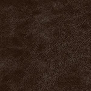 PI8900 Chocolate (L)