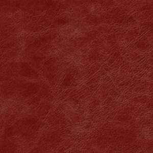 PI8300 Claret (L)