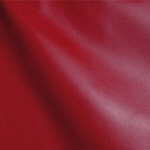 SC4290 Coral (L)