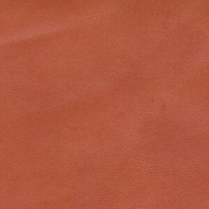 SIL0565 Orange (L)