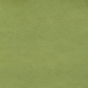 SIL0692 Light Green (L)