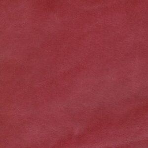 SIL4009 Red (L)