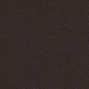 SY0282 Dark Brown (L)